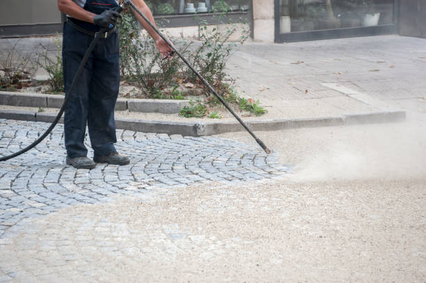 Best Driveway Cleaning and Restoration in Earlvle, IL